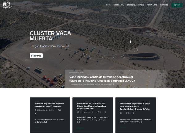 Ejemplo sitio institucional 2